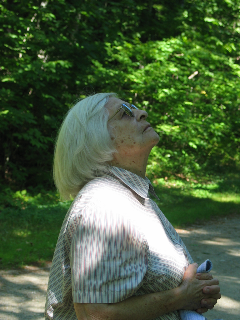 Mimi birding