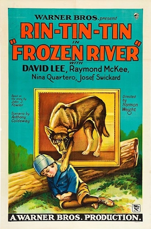Frozen River movie poster